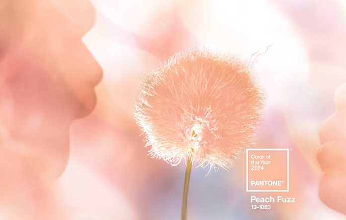 Pantone 2024 peach fuzz
