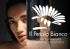 petalo bianco
